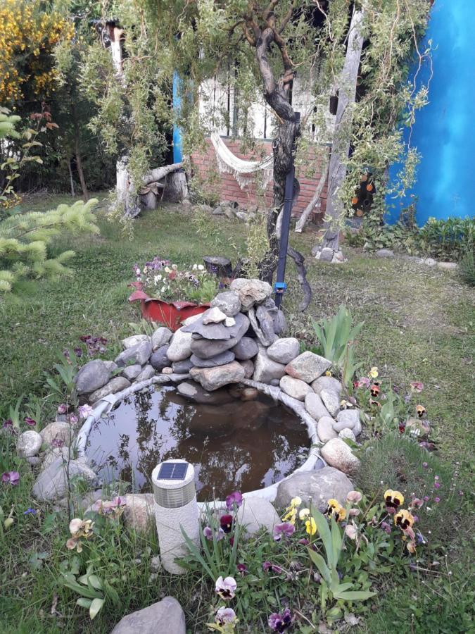 Kiritina'S House Homestay El Calafate Exteriör bild