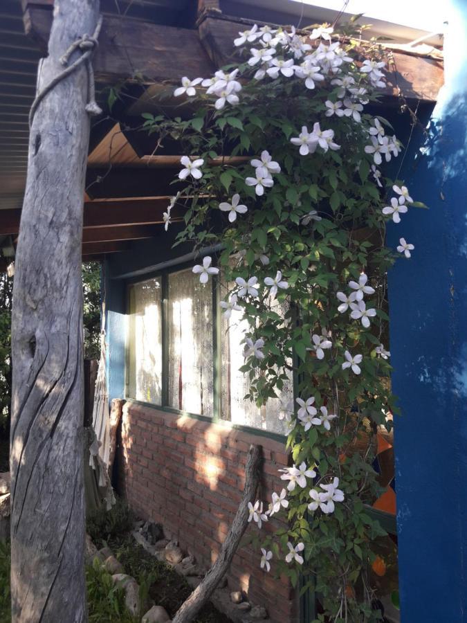 Kiritina'S House Homestay El Calafate Exteriör bild