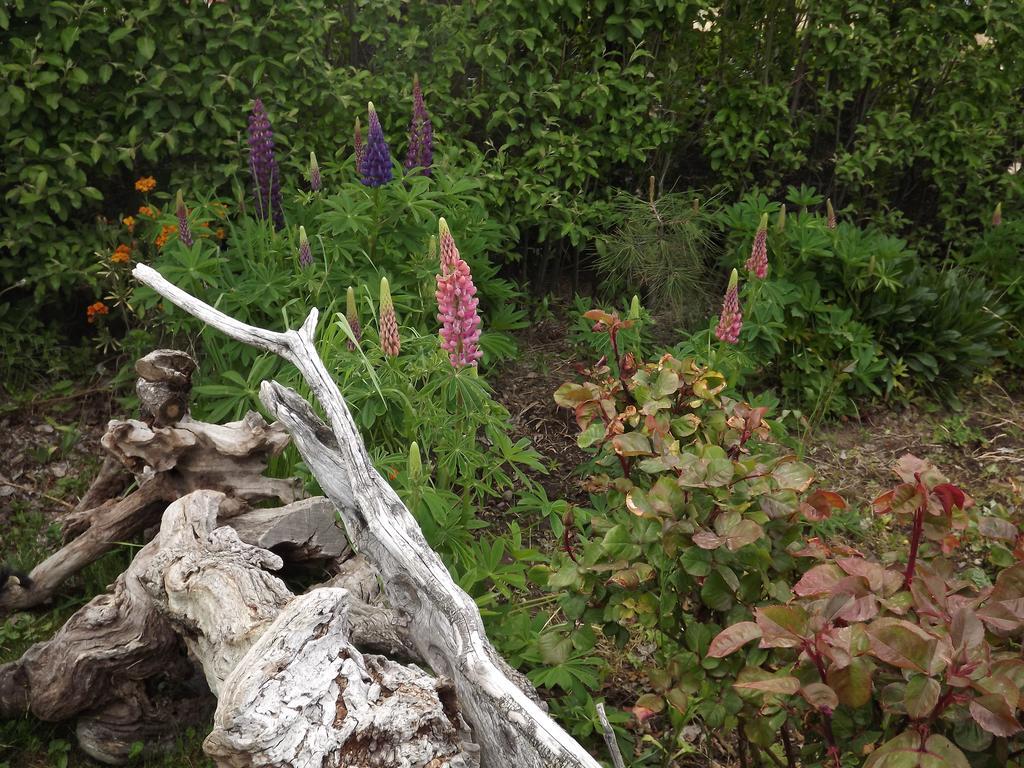 Kiritina'S House Homestay El Calafate Rum bild